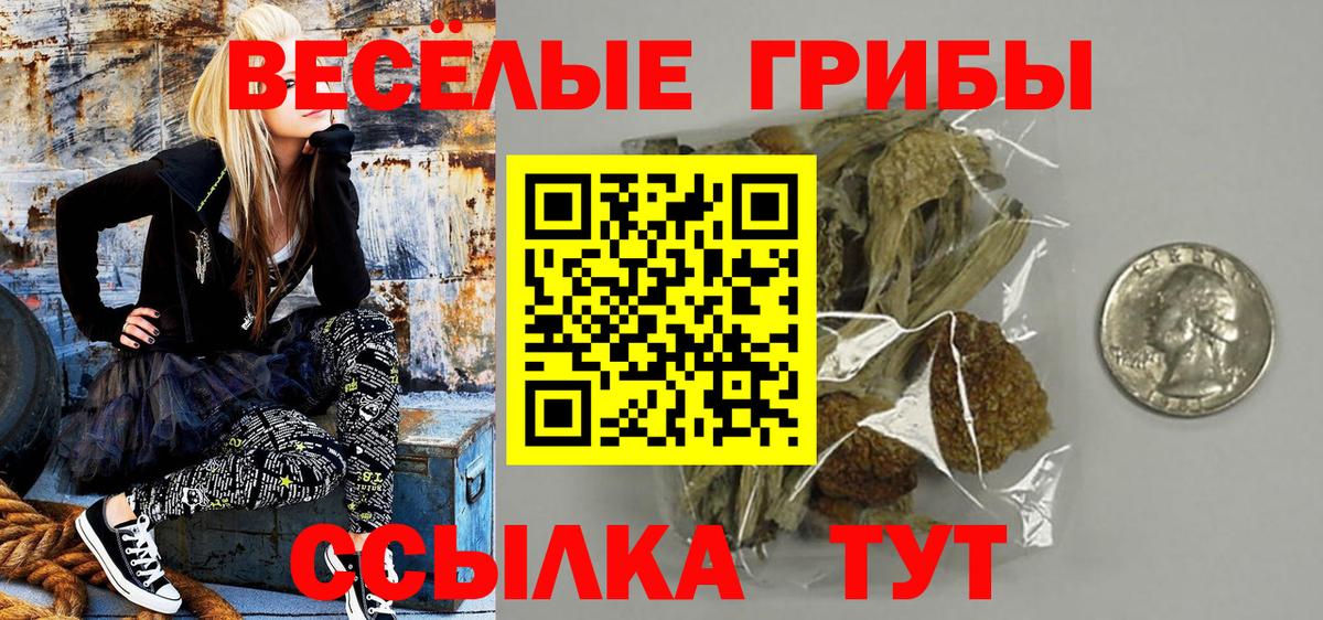 Мценск  Псилоцибиновые грибы прущие грибы  Вход с VPN 