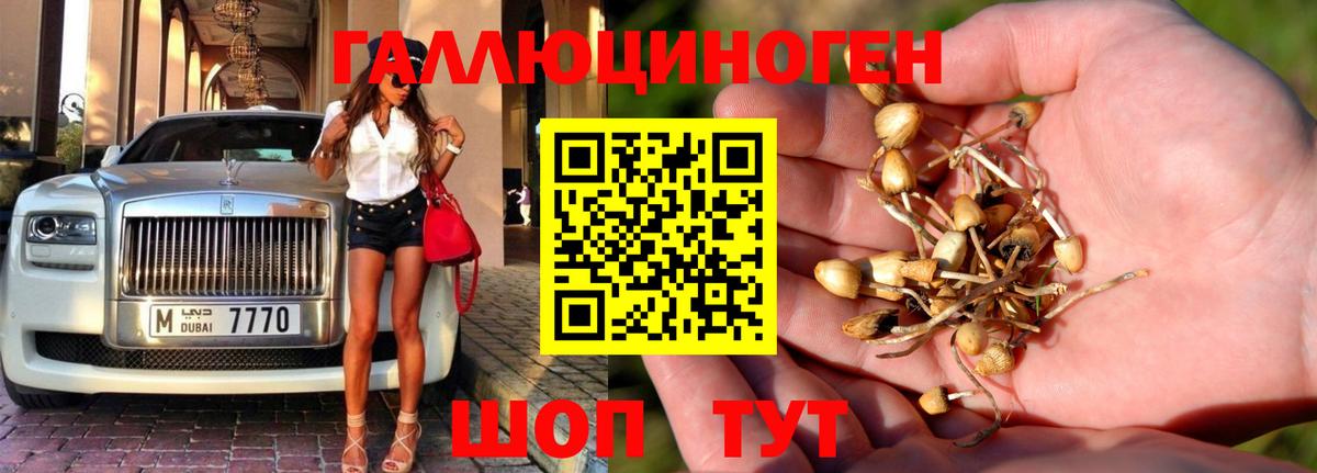 Псилоцибиновые грибы MAGIC MUSHROOMS Мценск